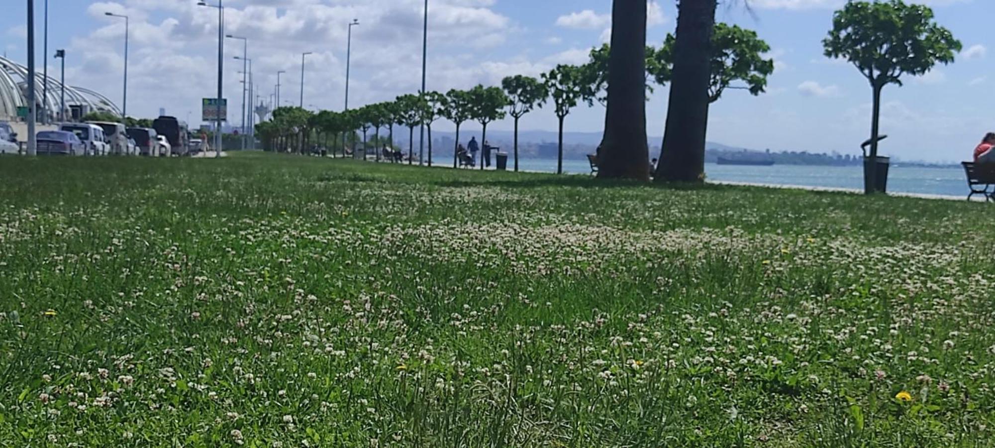 Fafsuitehome Istanbul Bagian luar foto